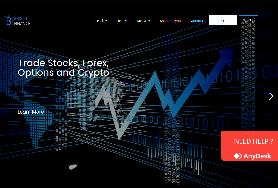 Bright Finance: página web