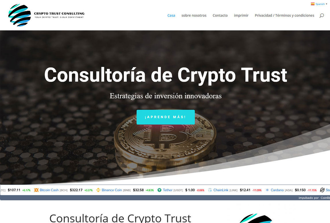 CryptoTrust Consulting: página web