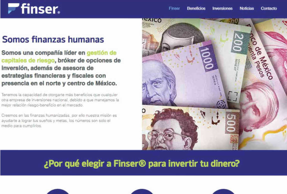 Finser: página web